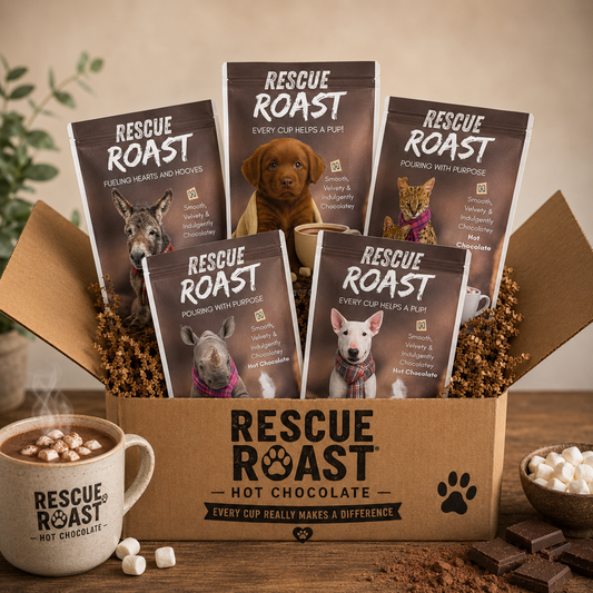 Rescue Roast Hot Chocolate Subscription Box
