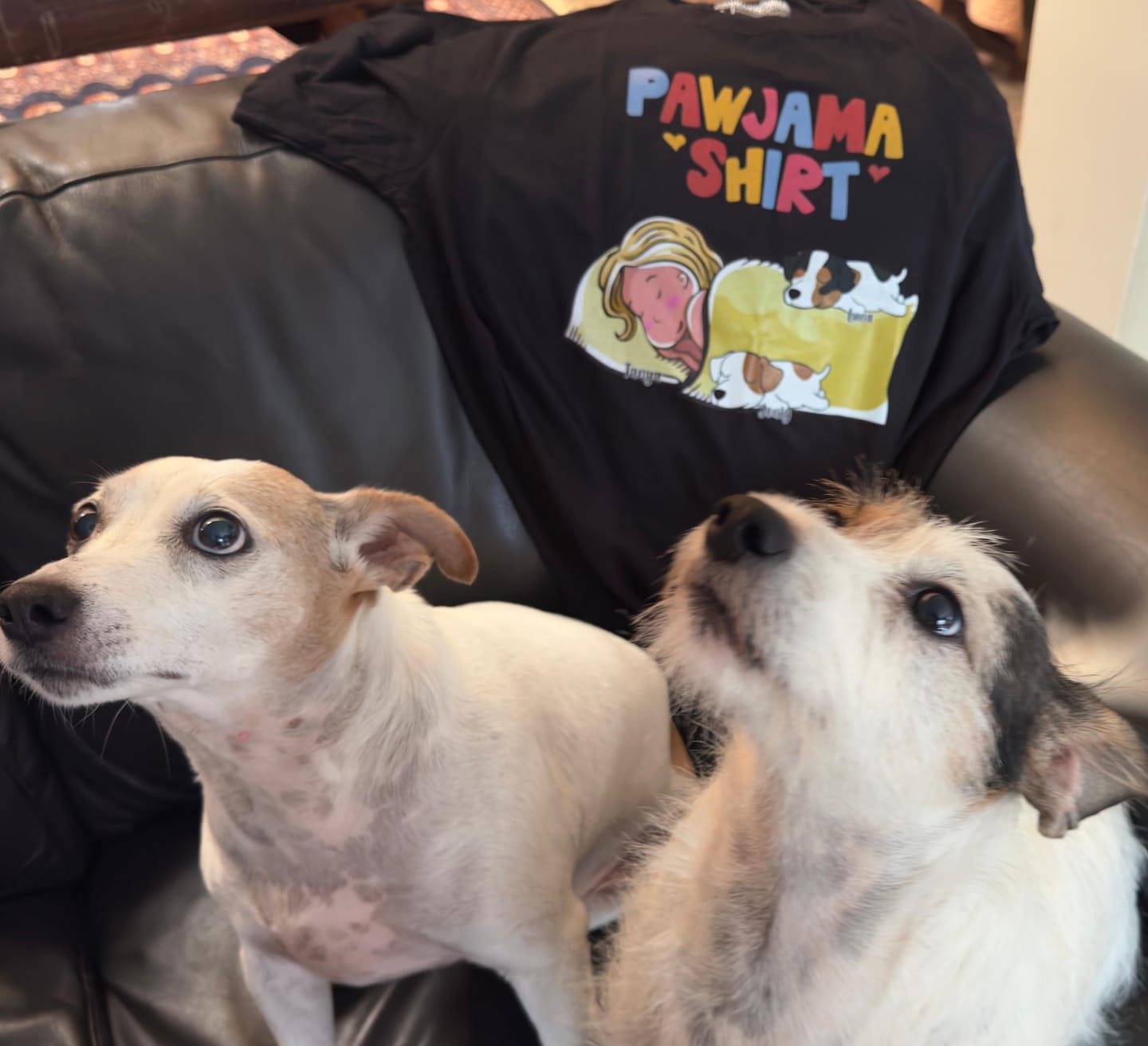 Personalised Pawjama Shirt