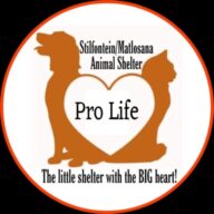Stilfontein Matlosana Animal Shelter logo
