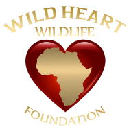 Wild Heart Wildlife Foundation logo